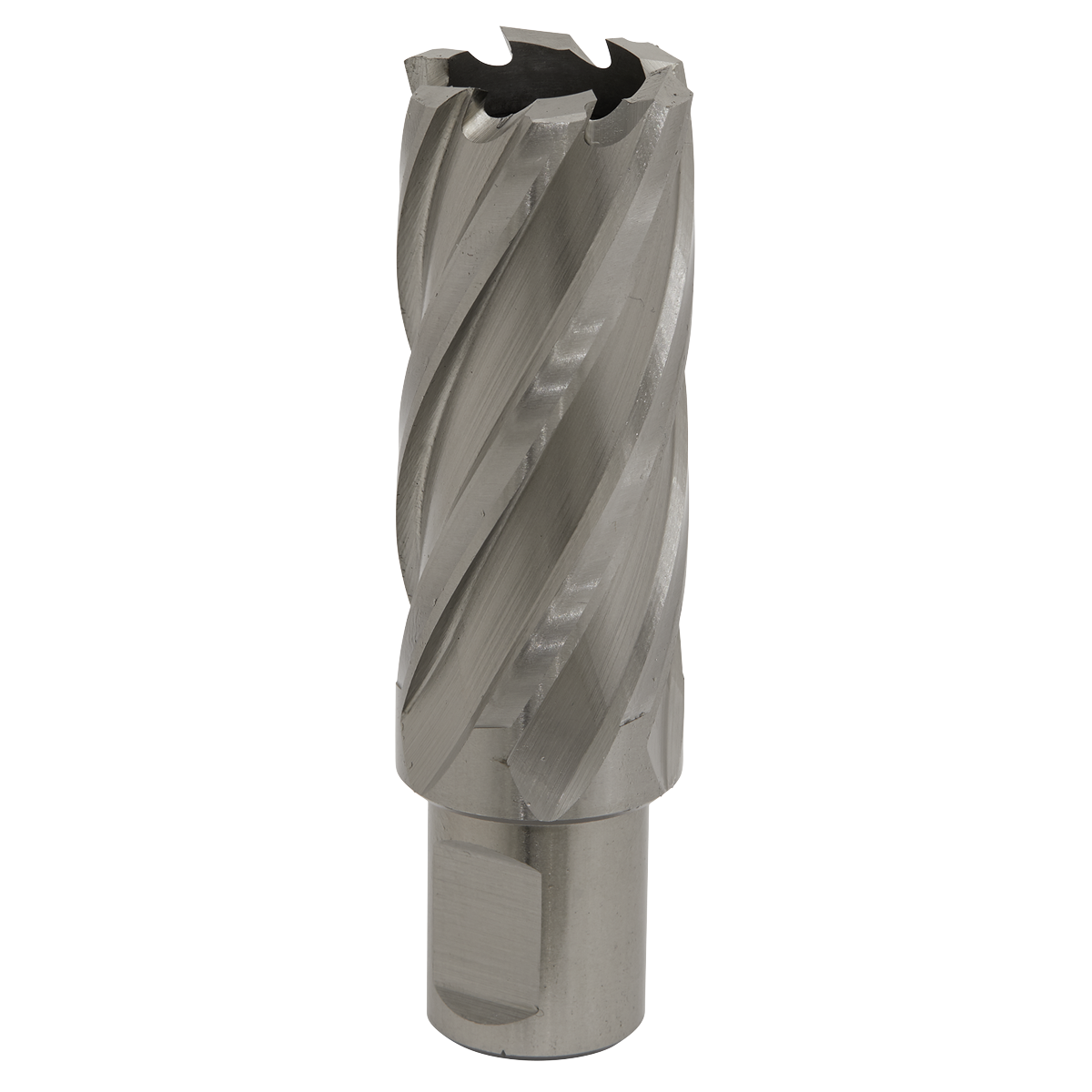 Ø25mm HSS Rotabor Cutter - Cut Depth 50mm