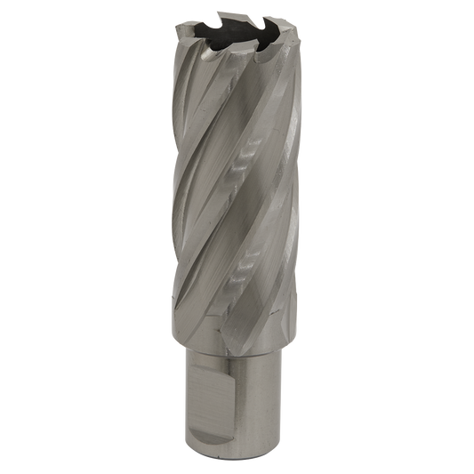 Ø25mm HSS Rotabor Cutter - Cut Depth 50mm