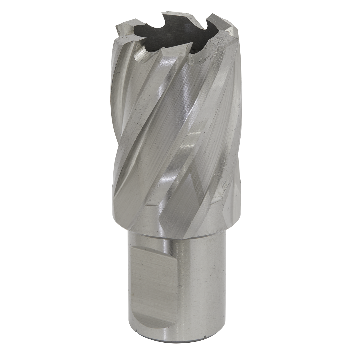 Ø25mm Rotabor Cutter HSS - Cut Depth 25mm