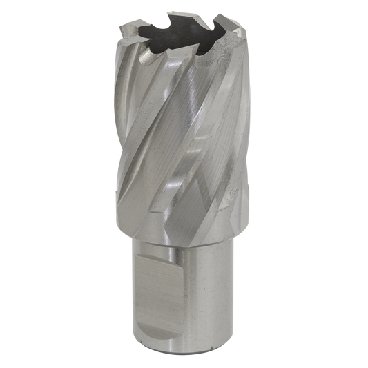 Ø25mm Rotabor Cutter HSS - Cut Depth 25mm