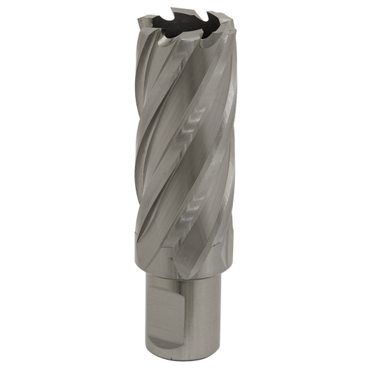 Ø26mm Rotabor Cutter HSS - Cut Depth 50mm