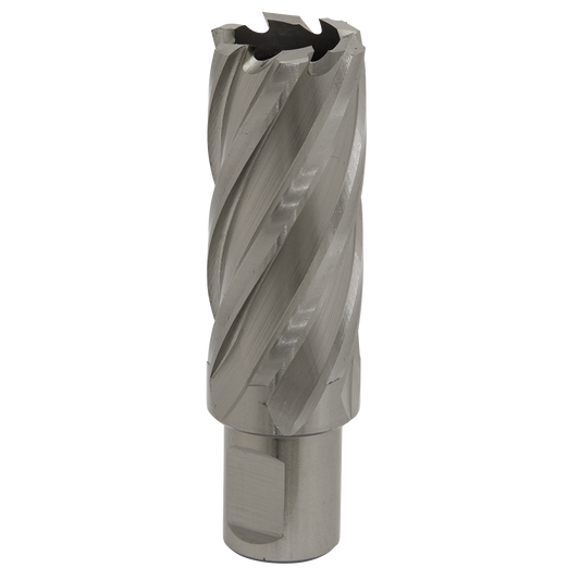 Ø27mm HSS Rotabor Cutter - Cut Depth 50mm