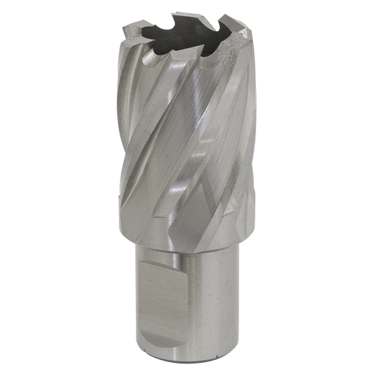 Ø28mm Rotabor Cutter HSS - Cut Depth 25mm