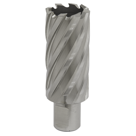 Ø29mm HSS Rotabor Cutter - Cut Depth 50mm
