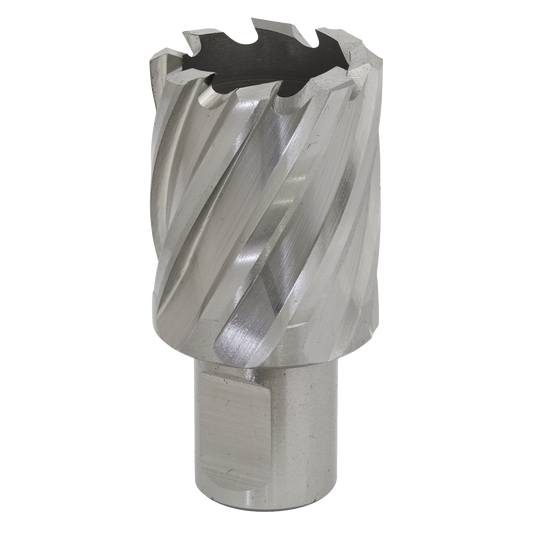 Ø29mm Rotabor Cutter HSS - Cut Depth 25mm