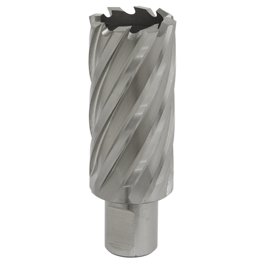 Ø30mm Rotabor Cutter HSS - Cut Depth 50mm