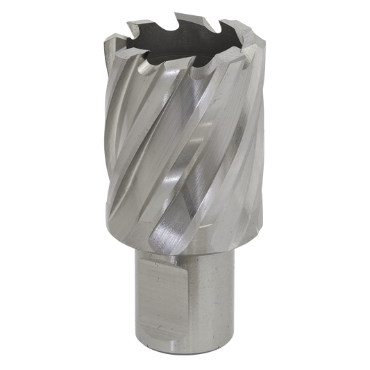 Ø30mm Rotabor Cutter HSS - Cut Depth 25mm