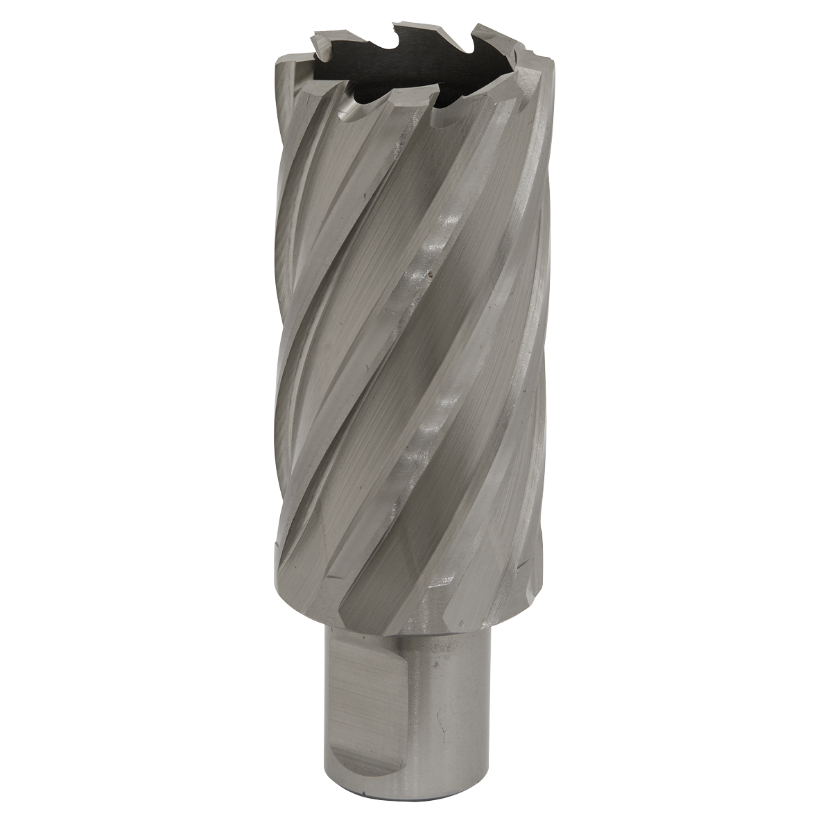 Ø31mm HSS Rotabor Cutter - Cut Depth 50mm