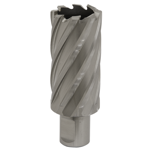 Ø31mm HSS Rotabor Cutter - Cut Depth 50mm
