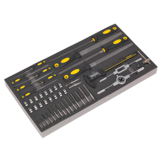 48pc Tap & Die, File & Caliper Set with Tool Tray