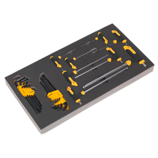 26pc T-Handle & Standard Hex Key Set with Tool Tray