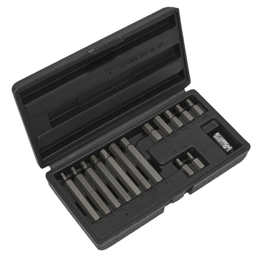 15pc 3/8"Sq Drive Hex Bit & Holder Set