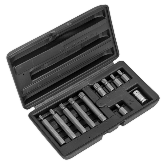 11pc 3/8"Sq Drive Spline Bit & Holder Set