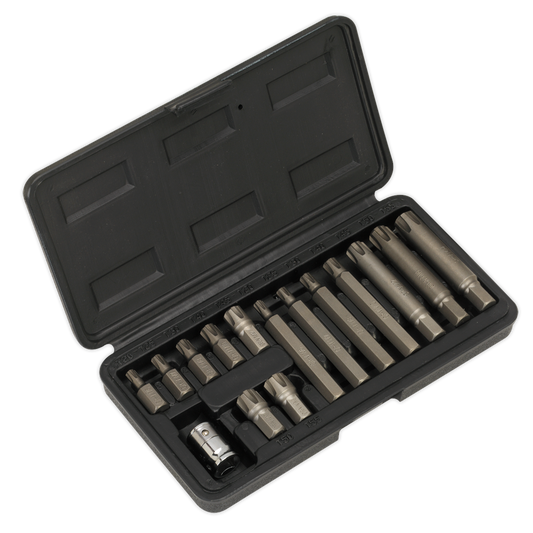 15pc 3/8"Sq Drive Ribe Bit & Holder Set