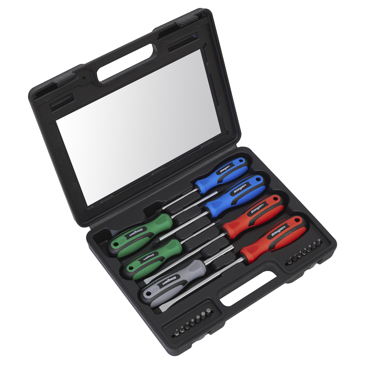 21pc Screwdriver Set with Storage Case
