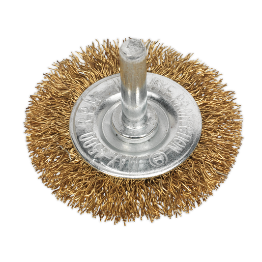 Ø50mm Flat Wire Brush with 6mm Shaft