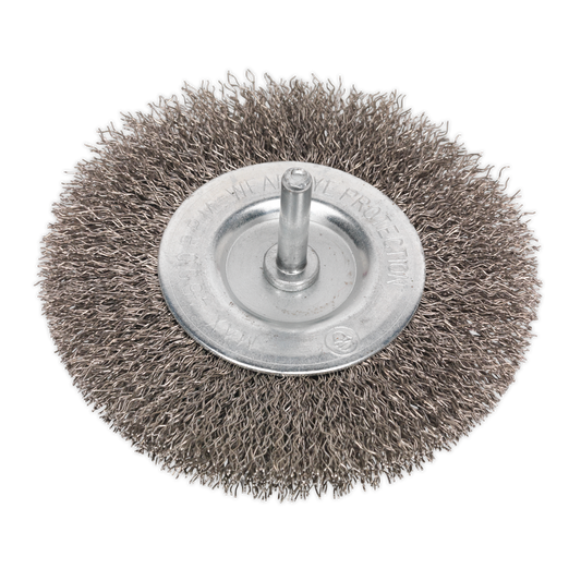 Ø100mm Flat Wire Brush Ø6mm Shaft