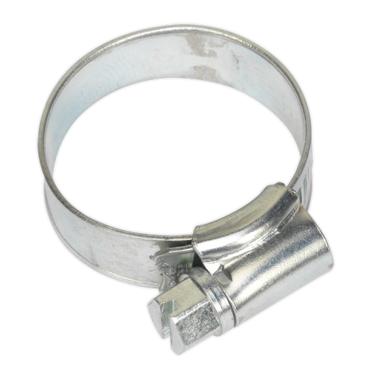 Ø19-29mm Zinc Plated Hose Clip - Pack of 20