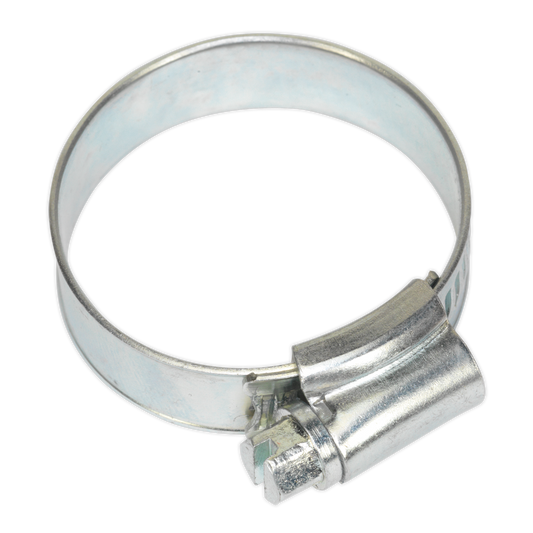 Ø25-38mm Zinc Plated Hose Clip - Pack of 20