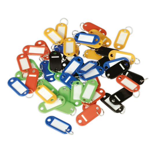50pc Key Tag Assortment