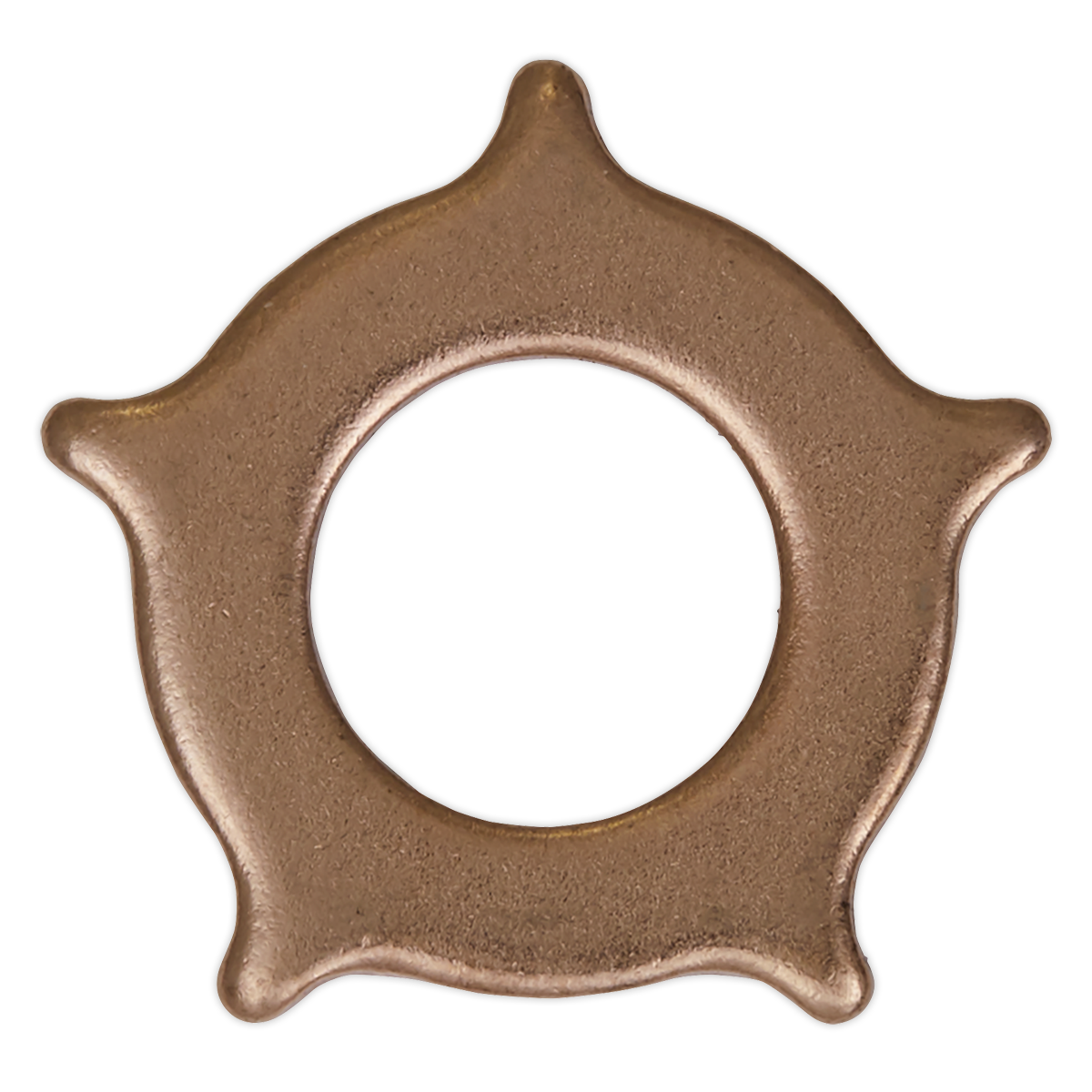 Star Washer for SR2000 Pack of 10