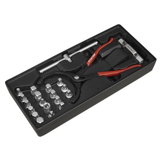 21pc Oil Filter Wrench, Pliers & Drain Key Set with Tool Tray