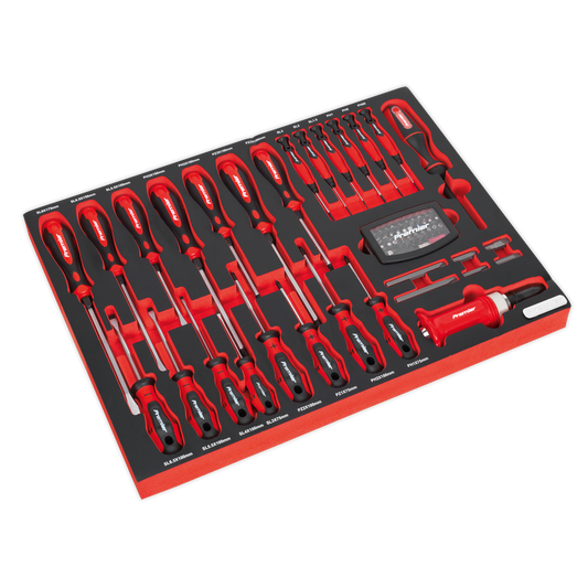 72pc Screwdriver Set with Tool Tray