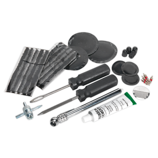 Temporary Puncture Repair & Service Kit