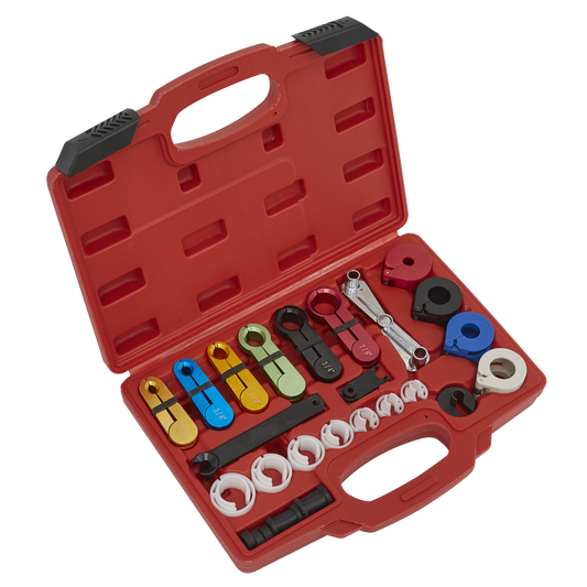 21pc Fuel & Air Conditioning Disconnection Tool Kit