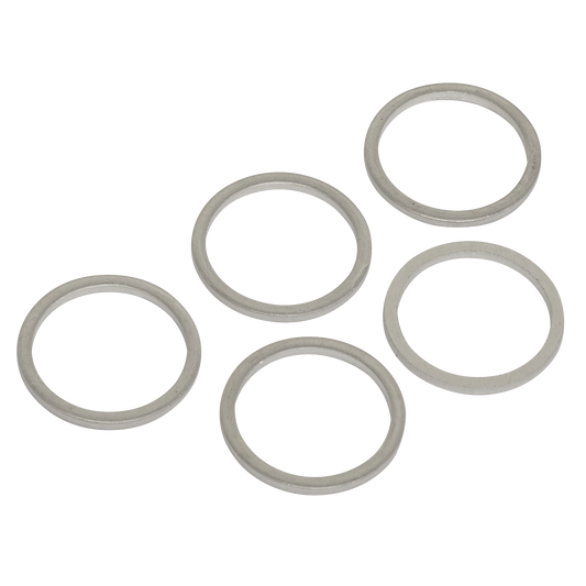 M17 Sump Plug Washer - Pack of 5