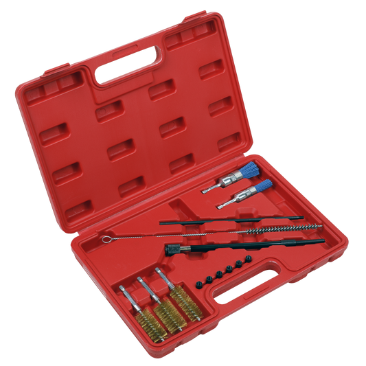 14pc Injector Bore Cleaning Brush Set