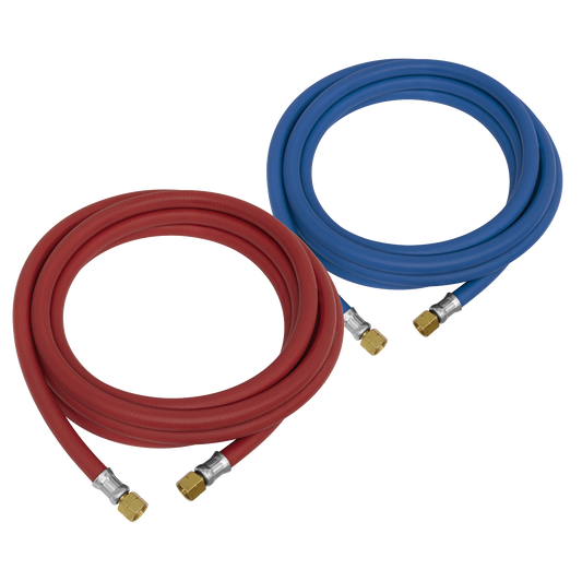 10m Oxyacetylene Welding Hose Set